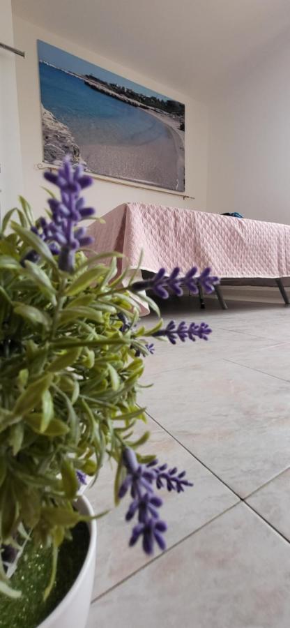 Bradisc'House Apartment Porto Torres Exterior foto