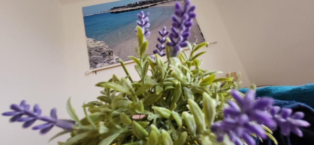 Bradisc'House Apartment Porto Torres Exterior foto